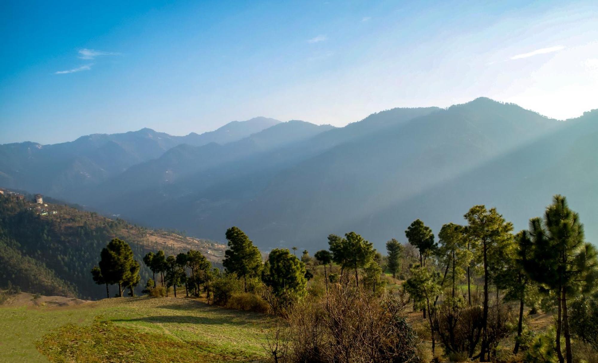 The Manor Luxury Apartments, Shimla 마쇼브라 외부 사진