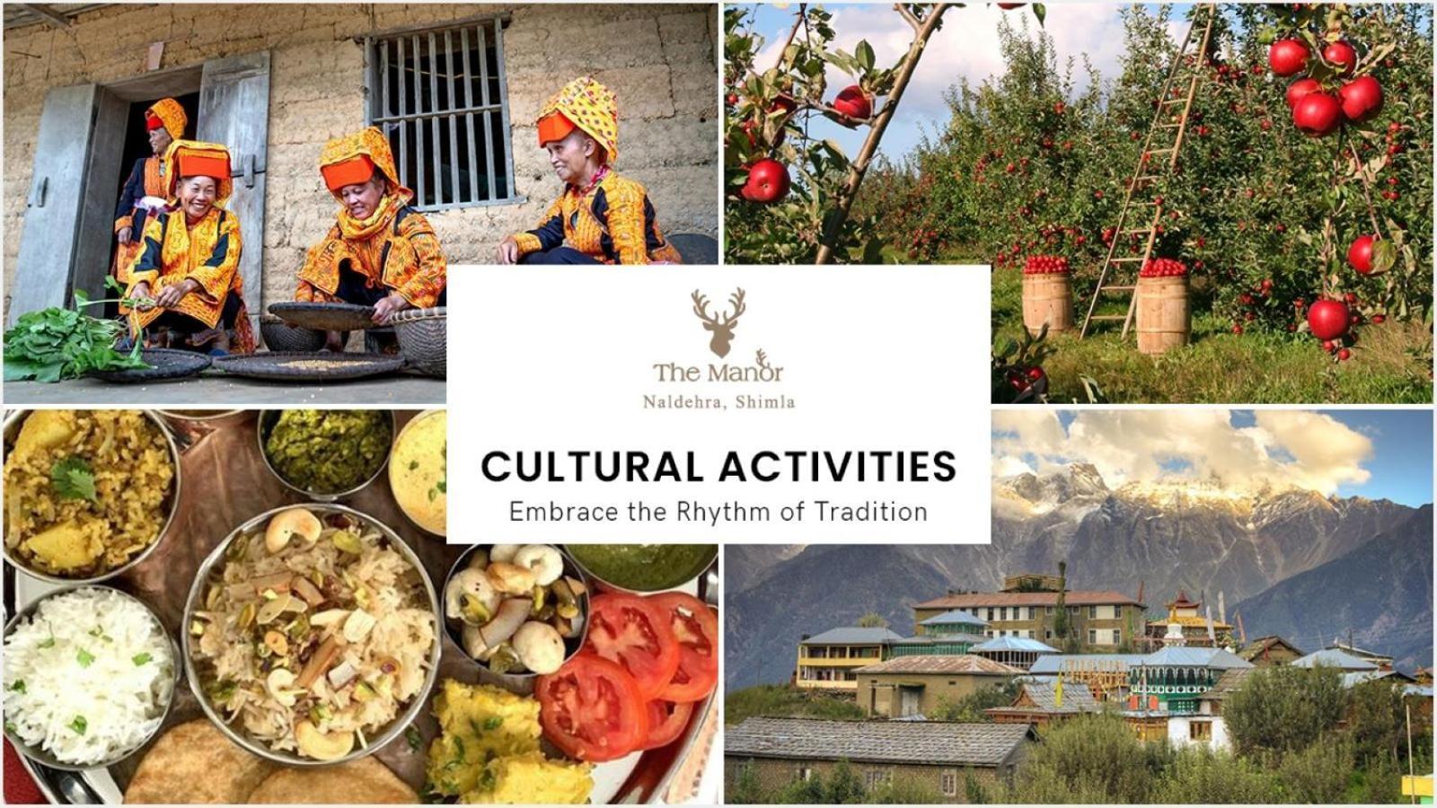 The Manor Luxury Apartments, Shimla 마쇼브라 외부 사진